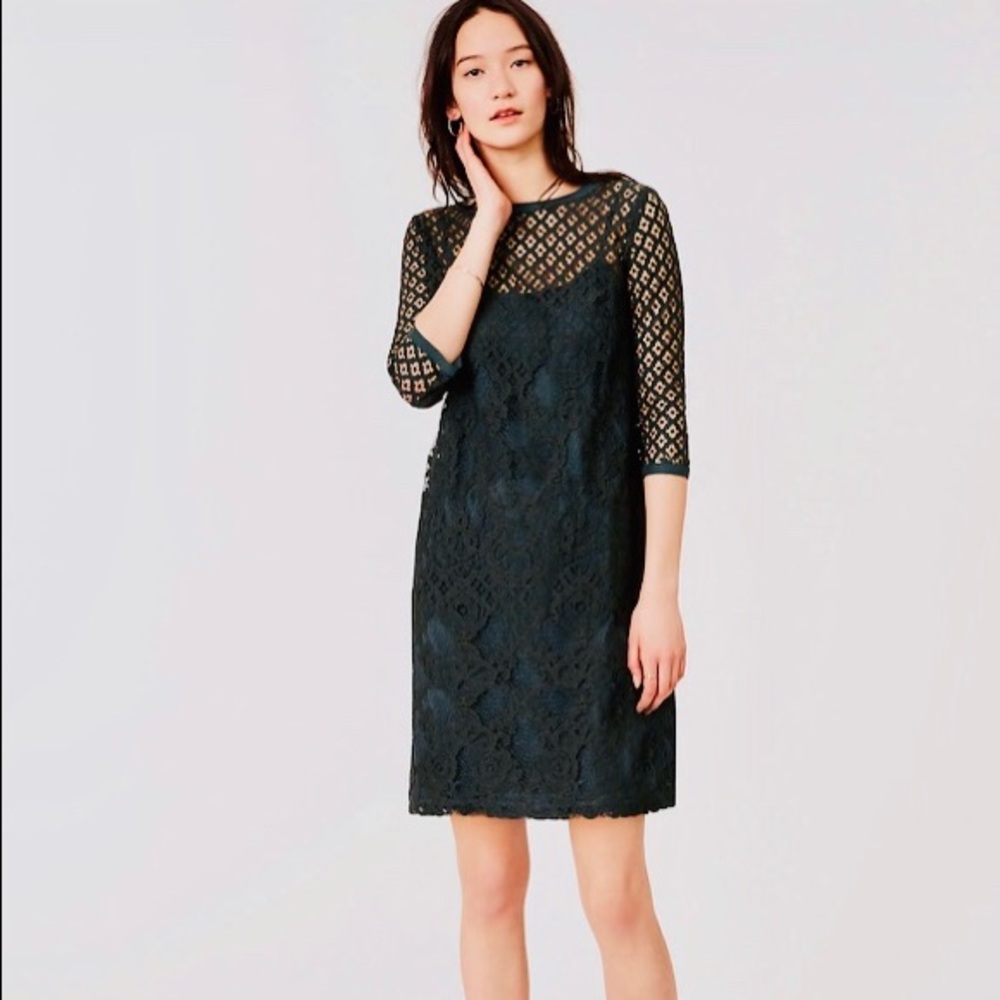 💚 💥NEW Hunter green Loft dress .